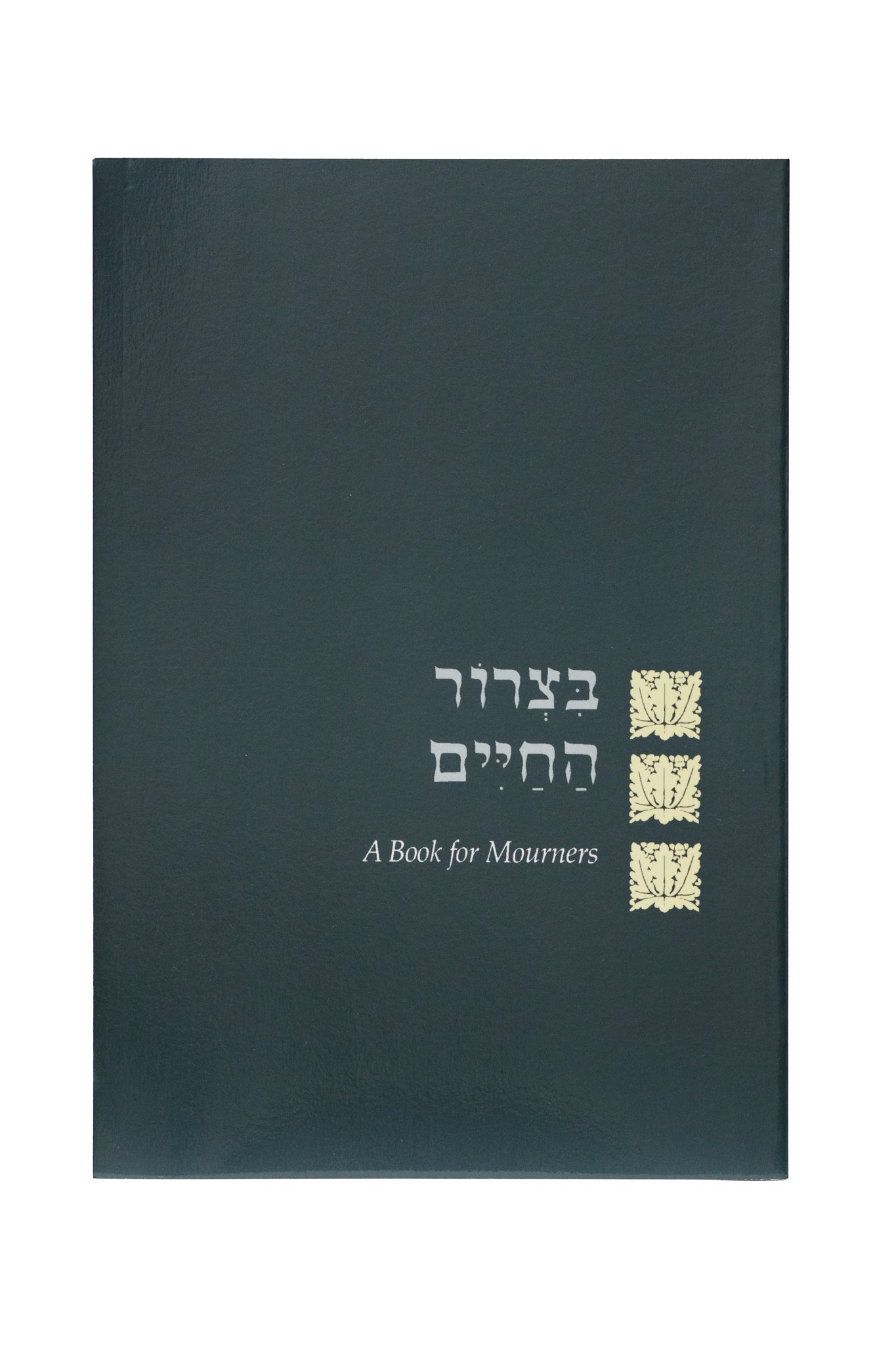 Hebrew cover of Bond of Life
