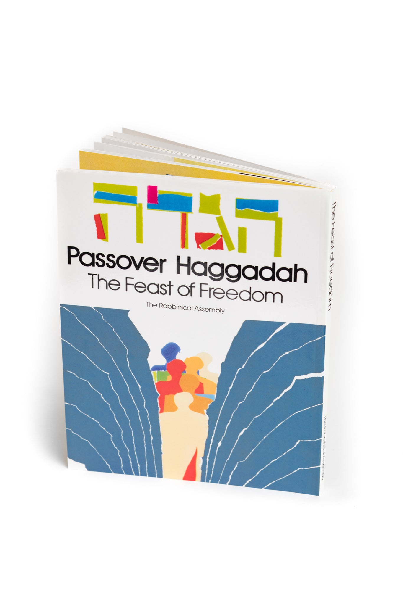 Feast of Freedom Haggadah standing