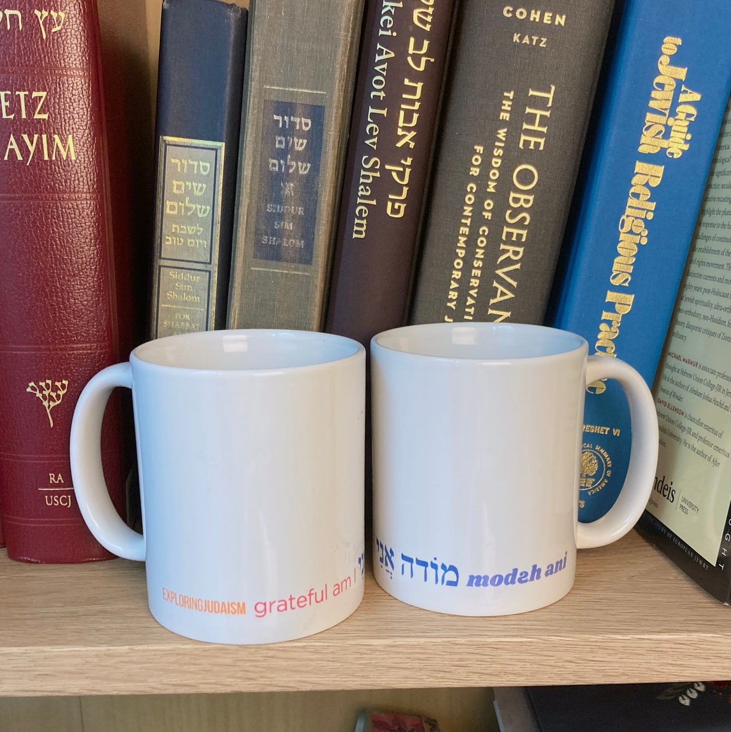 Modxh Ani Cup of Gratitude Mug by Exploring Judaism