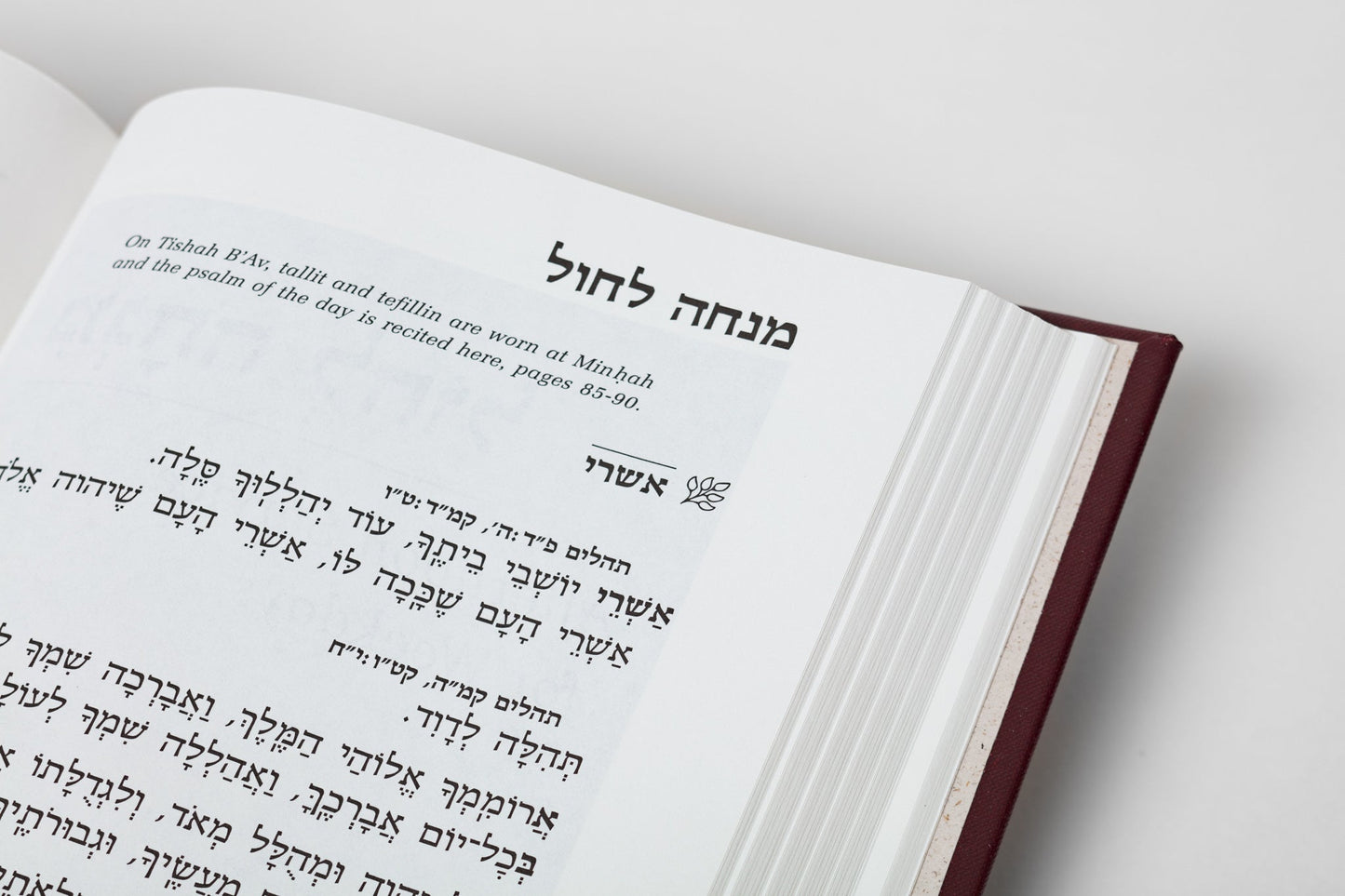 sample Hebrew text page Siddur Sim Shalom for Weekdays