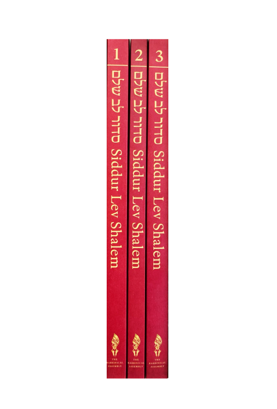 Siddur Lev Shalem for Shabbat & Festivals (Large Print)
