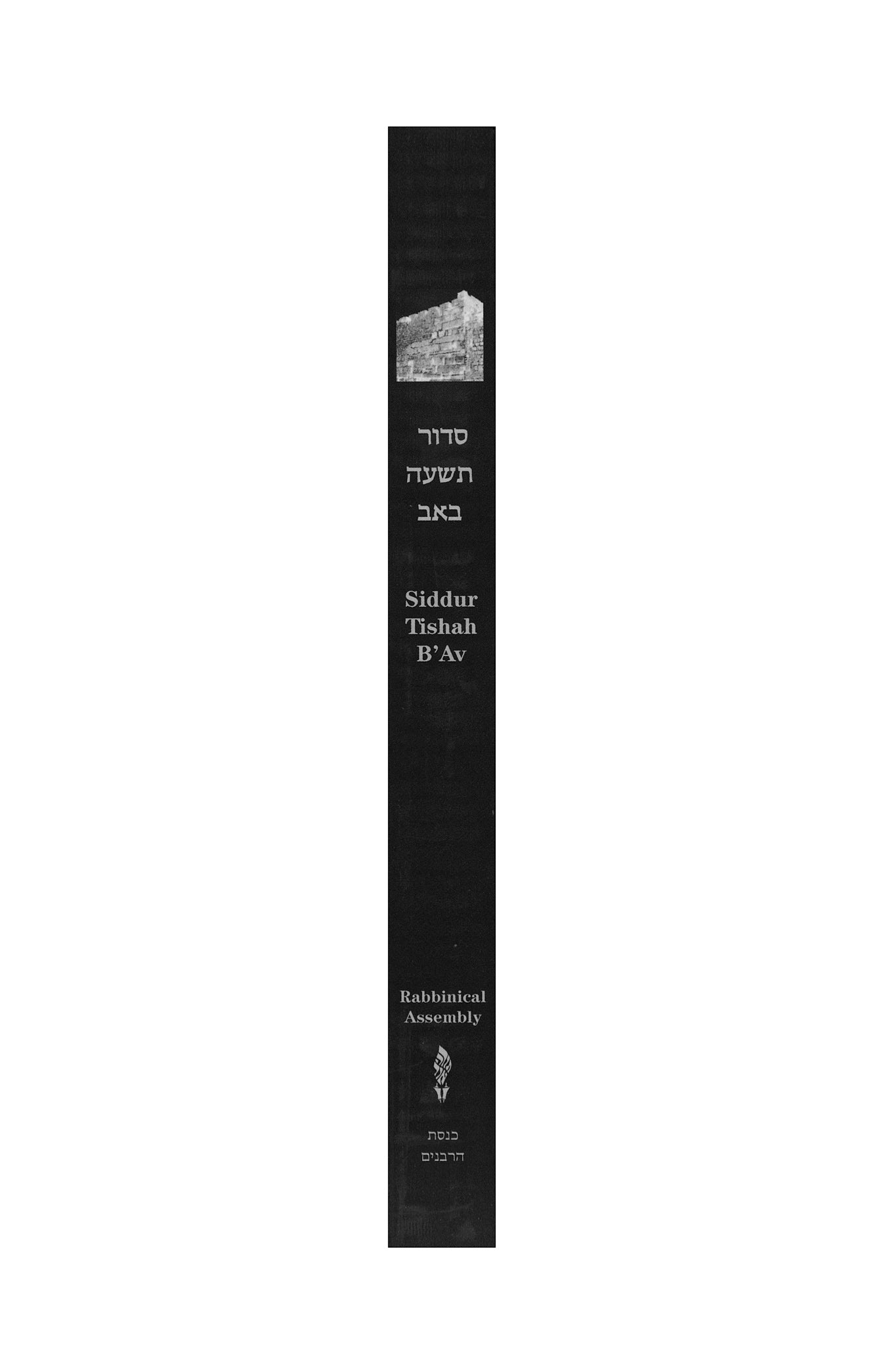 spine of Siddur Tisha B'Av