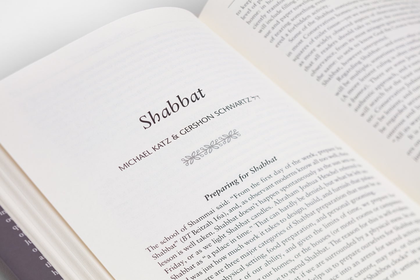 The Observant Life: The Wisdom of Conservative Judaism for Contemporary Jews