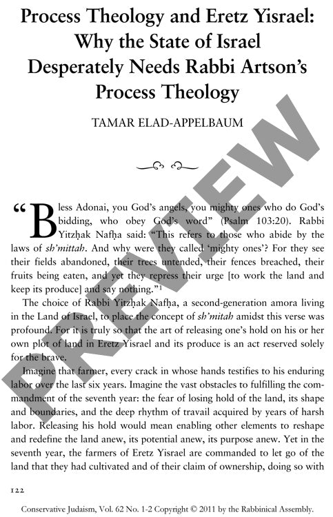 Process Theology and Eretz Yisrael Why T