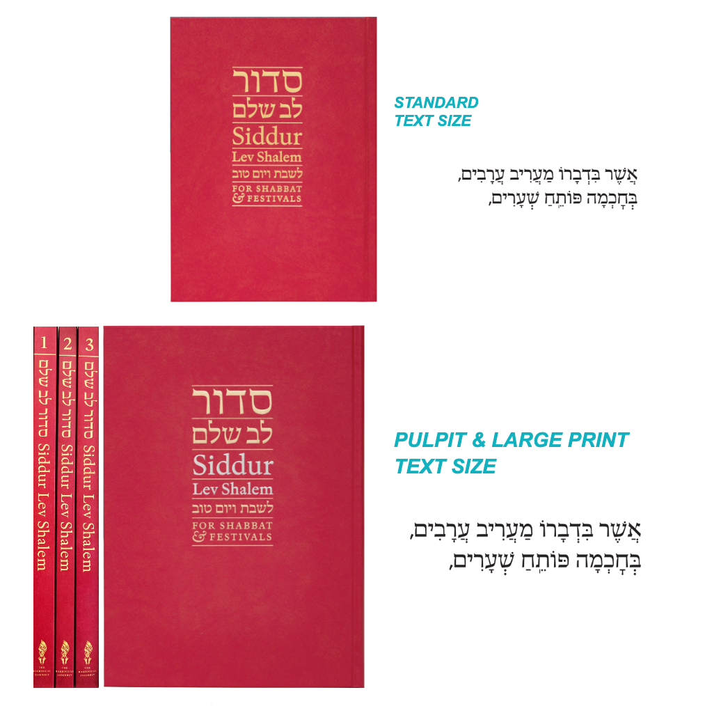 Siddur Lev Shalem for Shabbat & Festivals (Large Print)
