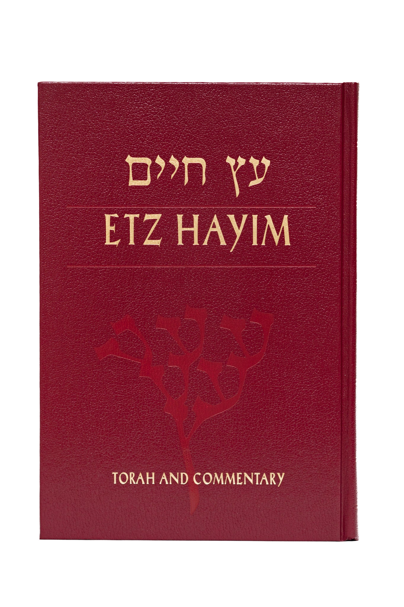 Etz Hayim: Torah & Commentary