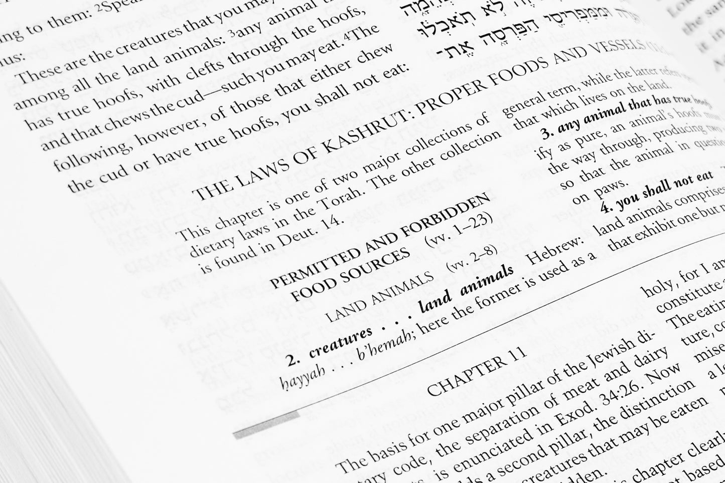 Etz Hayim: Torah & Commentary