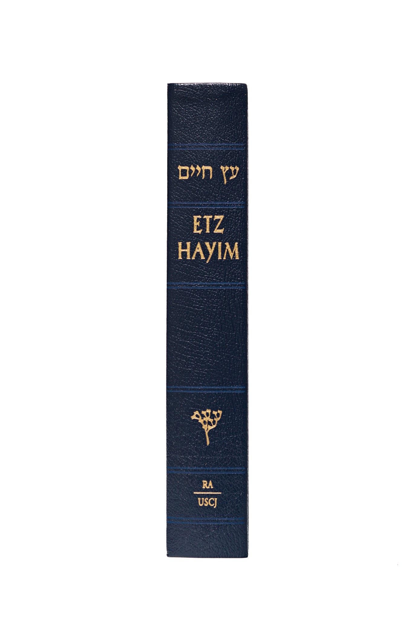 Etz Hayim: Torah & Commentary (Gift Edition)