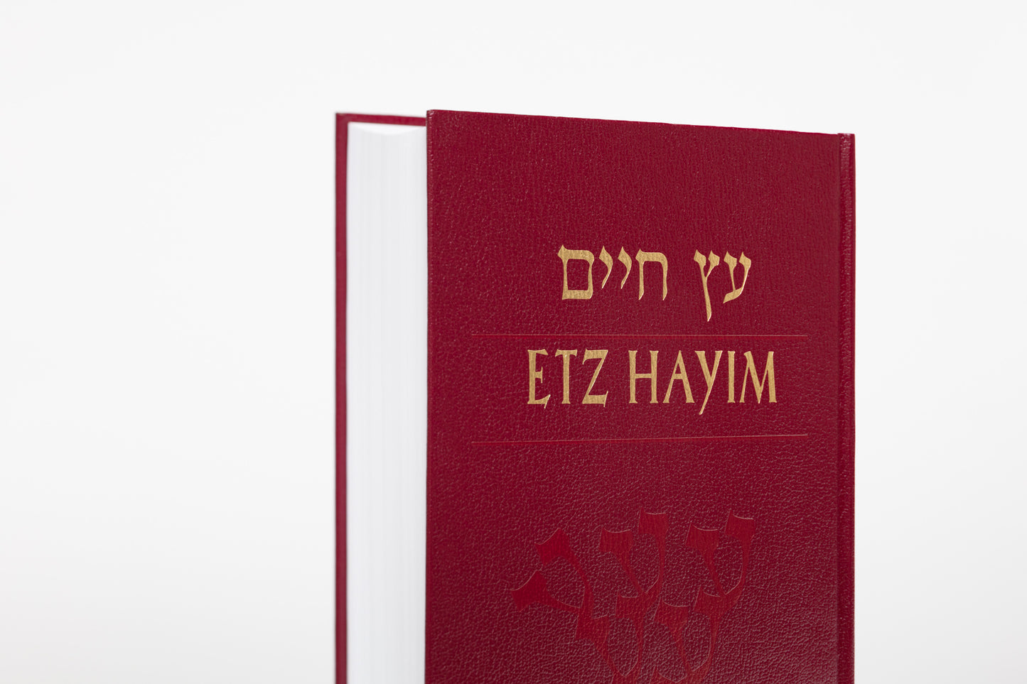 Etz Hayim: Torah & Commentary