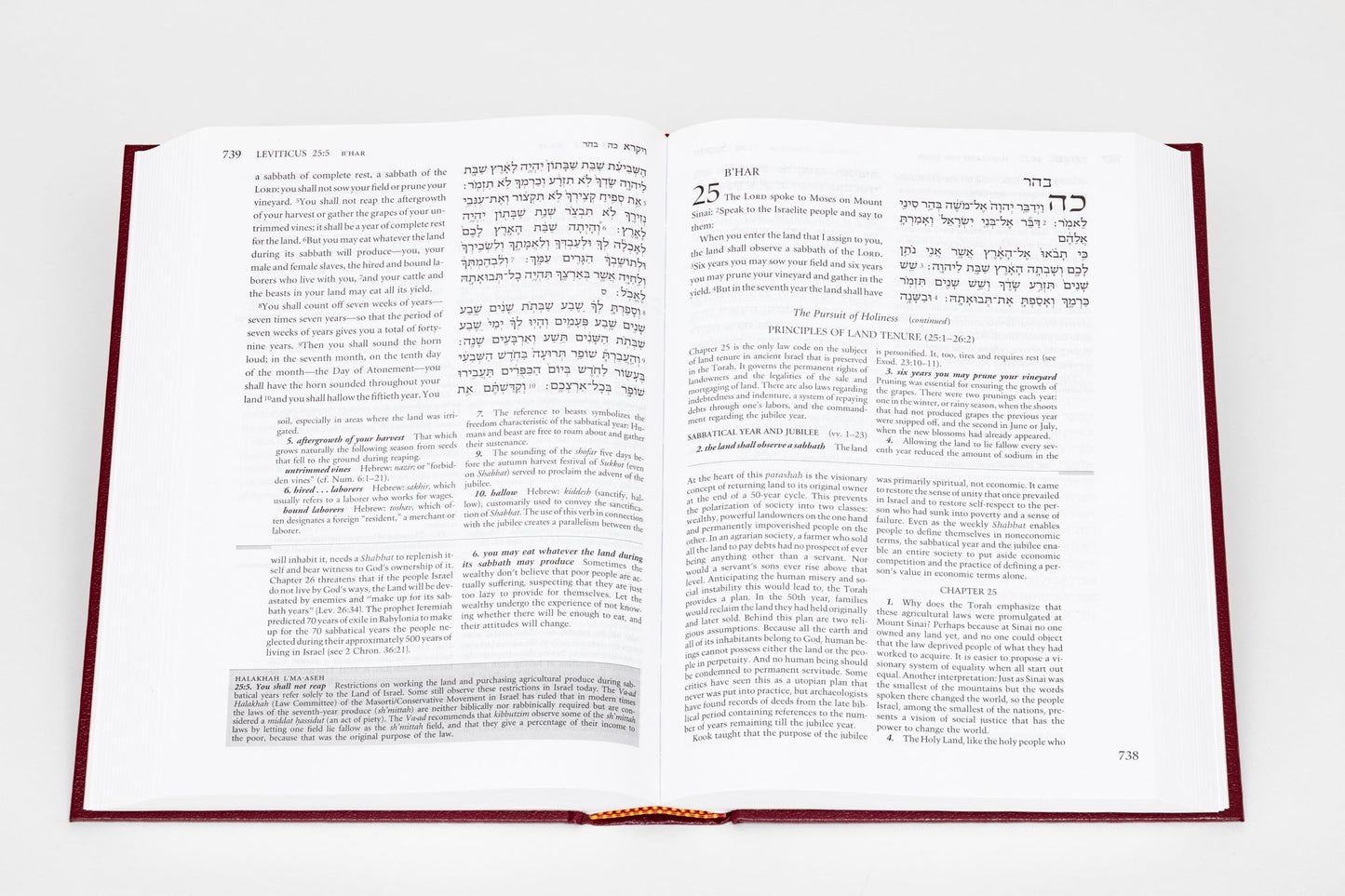 Etz Hayim: Torah & Commentary (Travel Edition)