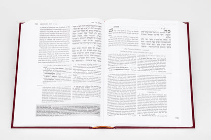 Etz Hayim: Torah & Commentary (Travel Edition)