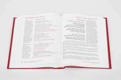 Siddur Lev Shalem for Shabbat & Festivals (Large Print)